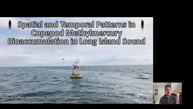 Spatial and Temporal Patterns in Copepod Methylmercury Bioaccumulation in Long Island Sound
